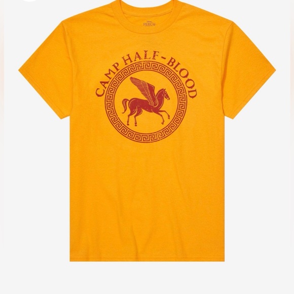 NWT Hot Topic Camp Half-Blood Orange/Grey  T-Shirt size 2X and 3X - Picture 1 of 6